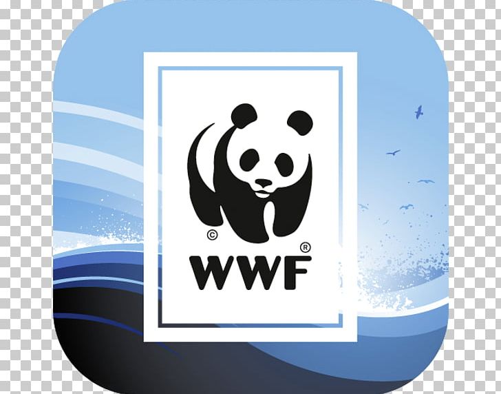 World Wide Fund For Nature Conservation World Wildlife Fund PNG, Clipart, Bear, Brand, Conservation, Environmental Protection, International Free PNG Download
