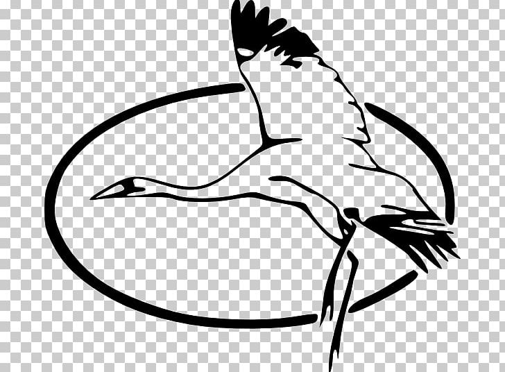 Great Blue Heron PNG, Clipart, Artwork, Beak, Bird, Bird Flight, Black Free PNG Download