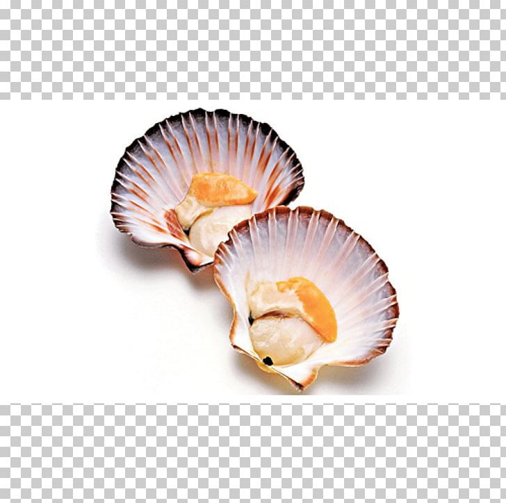 Pectinidae Pecten Jacobaeus Recipe Dish Seafood PNG, Clipart, Animal Source Foods, Cockle, Cooking, Cuisine, Dish Free PNG Download