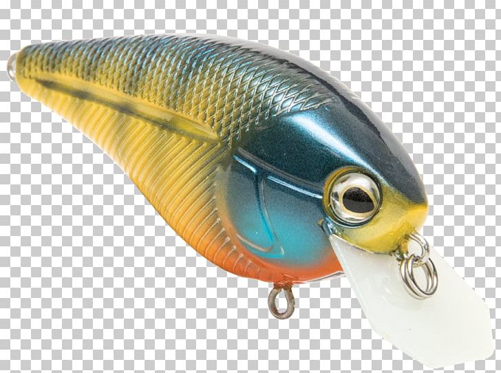 Spoon Lure Perch Fish AC Power Plugs And Sockets PNG, Clipart, Ac Power Plugs And Sockets, Bait, Fish, Fishing Bait, Fishing Lure Free PNG Download