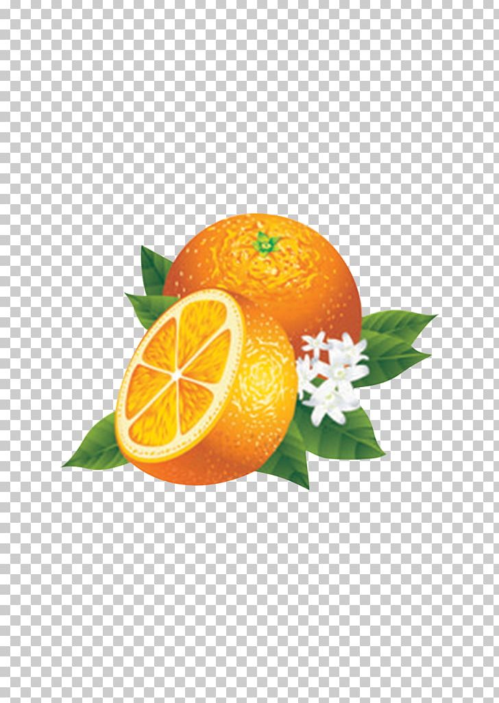 Juice Lemon Fruit Orange PNG, Clipart, Bitter Orange, Citric Acid, Citrus, Clementine, Diet Food Free PNG Download