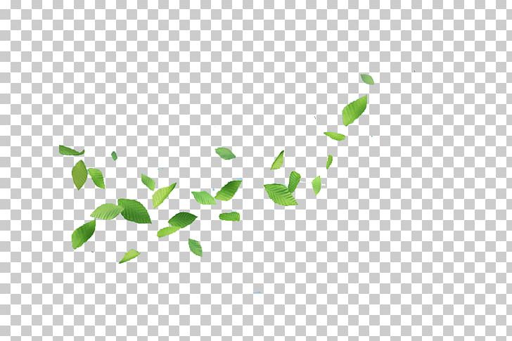 Leaf Gratis Wind PNG, Clipart, Angle, Area, Concepteur, Daquan