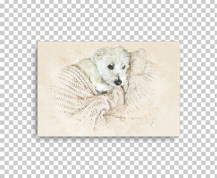 Puppy PNG, Clipart, Animals, Carnivoran, Dog Like Mammal, Puppy Free PNG Download