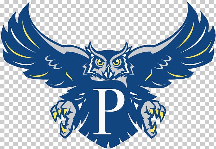 Rice Owls Football Rice Owls Baseball Rice Owls Men's Basketball Houston Cougars Football Sammy The Owl PNG, Clipart,  Free PNG Download