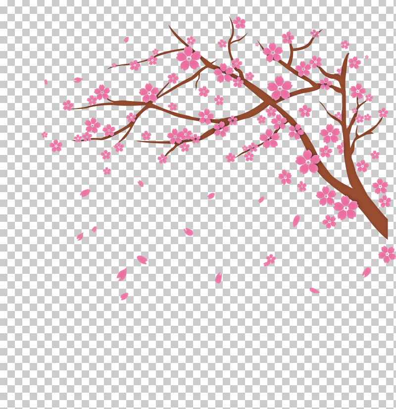 Cherry Blossom PNG, Clipart, Cartoon, Cherry Blossom, Drawing, National Cherry Blossom Festival, Spring Free PNG Download