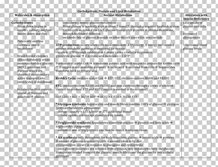 Document Curriculum Vitae Template Adibide Résumé PNG, Clipart, Adibide, Area, Break, Carbohydrate, Curriculum Vitae Free PNG Download