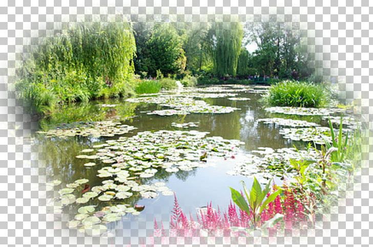 Giverny Water Lilies Rouen Cathedral Landscape Painting PNG, Clipart, Aquatic Plant, Art, Bank, Body Of Water, Botanical Garden Free PNG Download