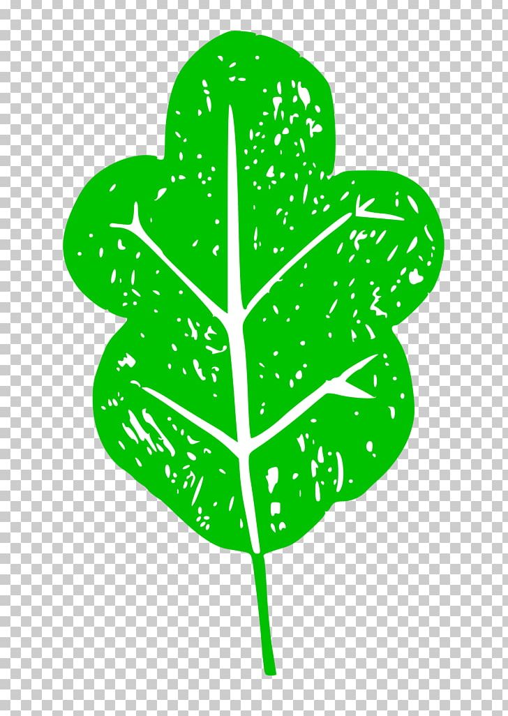 Lettuce PNG, Clipart, Grass, Green, Iso 9000, Leaf, Leaf Vegetable Free PNG Download