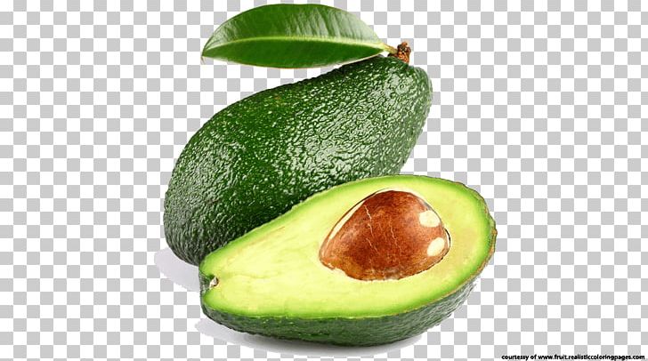 Nature Avocado Oil Avocado Oil Fat PNG, Clipart, African Black Soap, Avocado, Avocado Oil, Butter, Cocoa Butter Free PNG Download