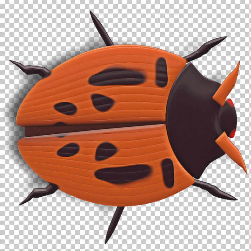 Orange PNG, Clipart, Beetle, Cockroach, Insect, Ladybug, Orange Free PNG Download