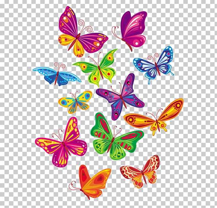 Butterfly PNG, Clipart, Brush Footed Butterfly, Butterfly, Butterfly Cartoon, Cartoon, Colorful Free PNG Download