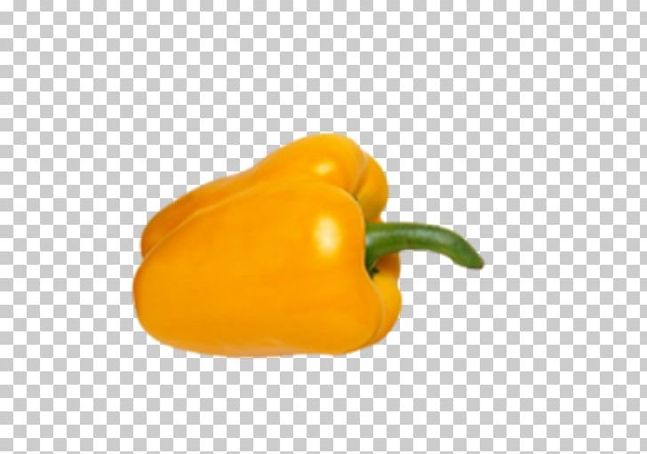 Habanero Bell Pepper Yellow Pepper Chili Pepper Outer Space PNG, Clipart, Bell Peppers And Chili Peppers, Capsicum, Capsicum Annuum, Food, Fruit Free PNG Download