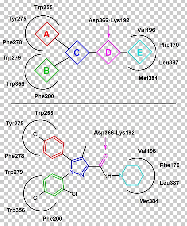 Pharmacophore Cannabinoid Receptor Antagonist Dopamine PNG, Clipart, Angle, Area, Cannabinoid, Cannabinoid Receptor, Cannabinoid Receptor Antagonist Free PNG Download