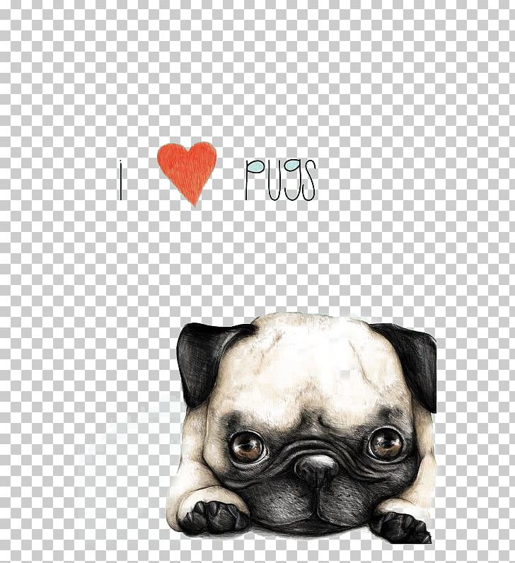 Pug Boston Terrier French Bulldog Dachshund Pomeranian PNG, Clipart, Animals, Balloon Cartoon, Bull Terrier, Carnivoran, Cartoon Character Free PNG Download