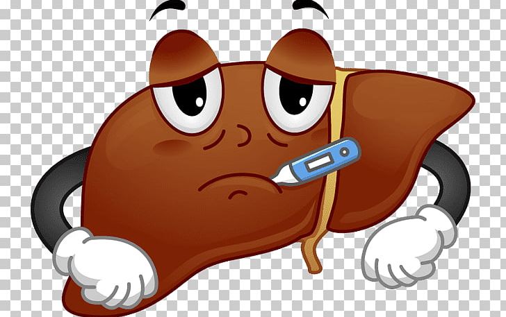 The Liver Cleansing Diet Liver Span Liver Disease PNG, Clipart, Bile, Carnivoran, Cartoon, Dog Like Mammal, Fatty Liver Free PNG Download