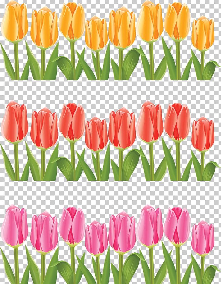 Tulip Flower PNG, Clipart, Cut Flowers, Drawing, Encapsulated Postscript, Eps, Floristry Free PNG Download