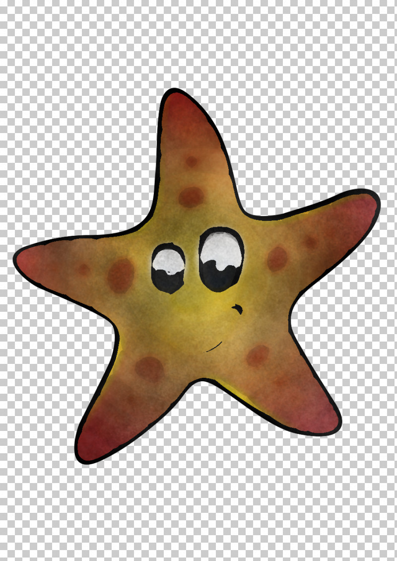 Starfish Biology Science PNG, Clipart, Biology, Science, Starfish Free PNG Download