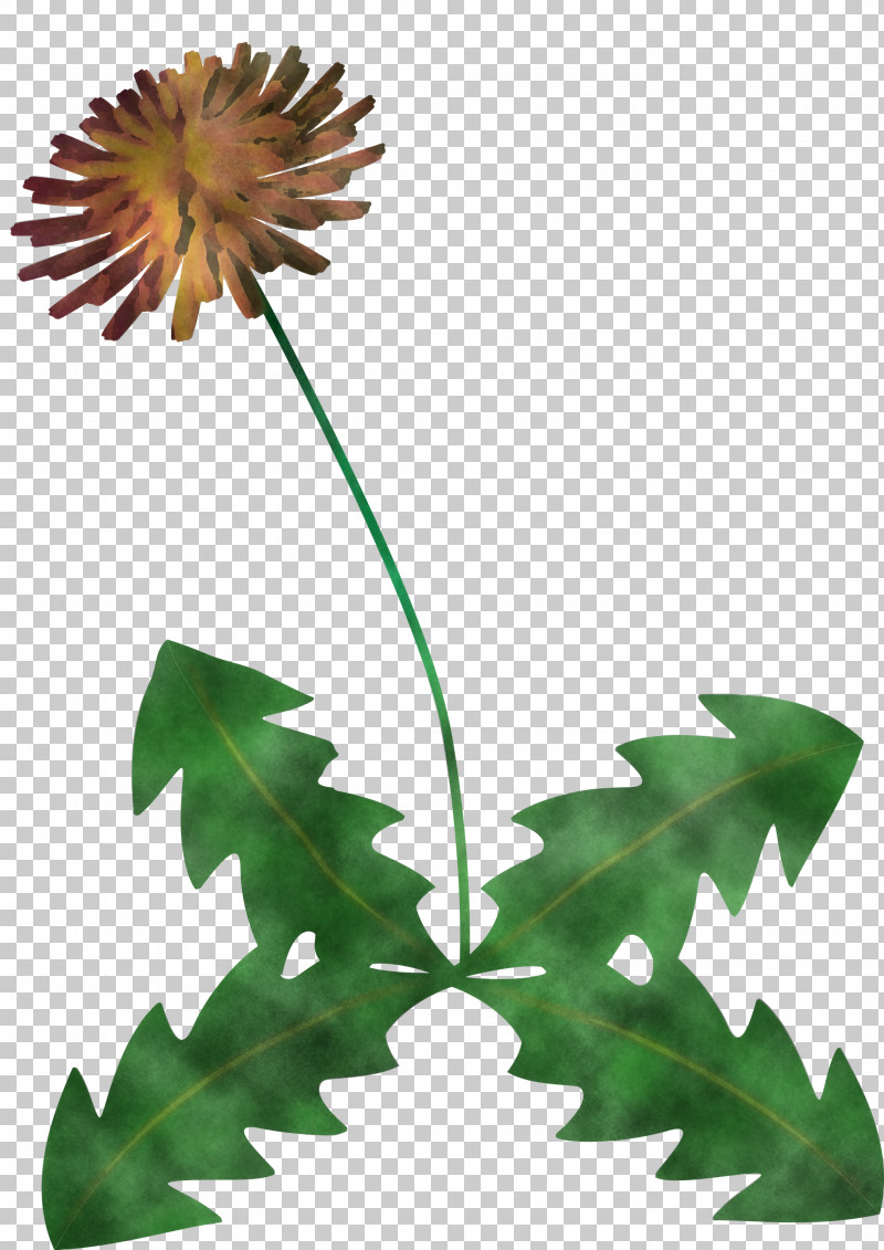 Dandelion Flower PNG, Clipart, Branch, Dandelion Flower, Floral Design, Flower, Flowerpot Free PNG Download
