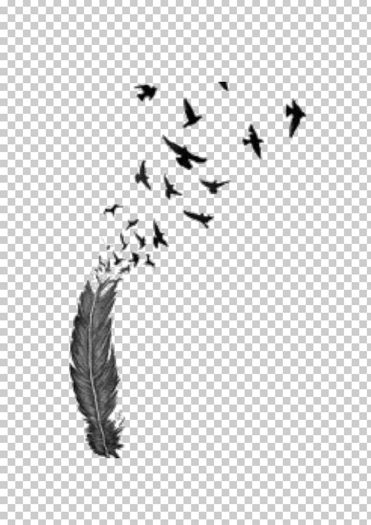 Bird Flight Feather Tattoo PNG, Clipart, Abziehtattoo, Animal, Animals, Beak, Bird Free PNG Download