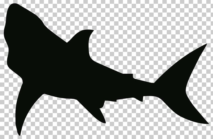Blue Shark Stencil Great White Shark PNG, Clipart, Animal, Animals, Art, Black And White, Blue Shark Free PNG Download