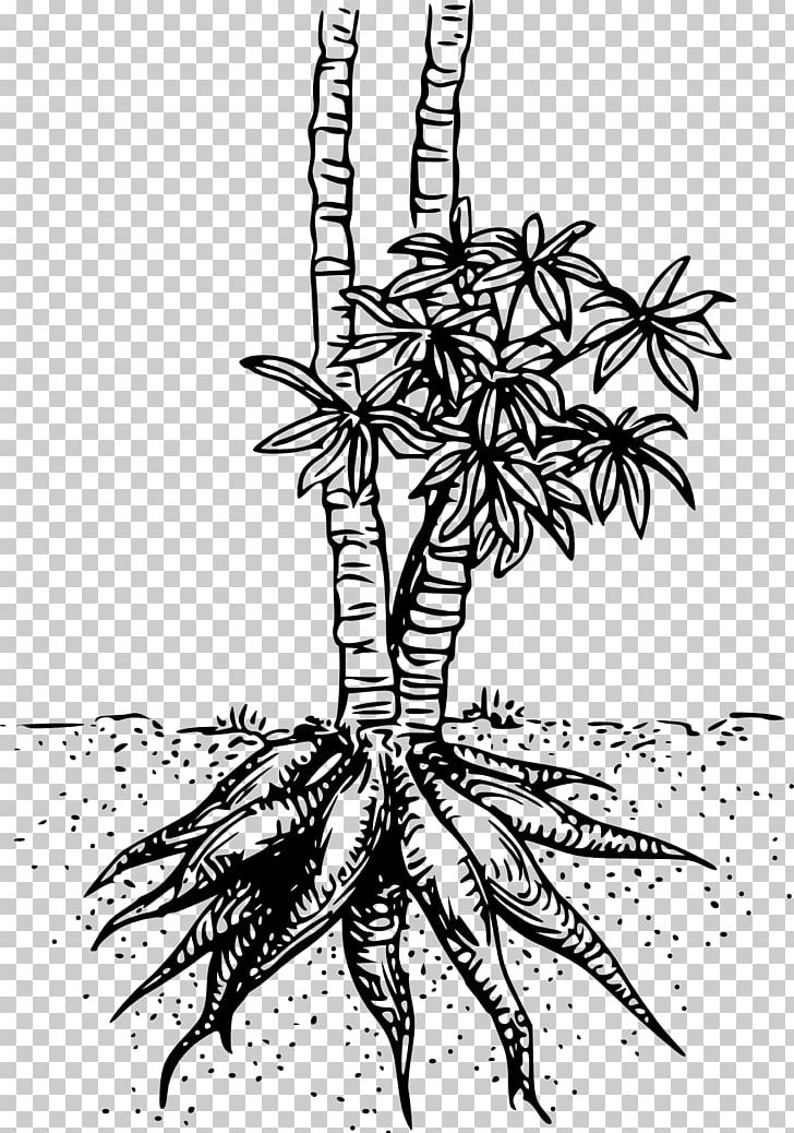 Cassava PNG, Clipart, Arrowroot, Artwork, Black And White, Branch, Computer Icons Free PNG Download