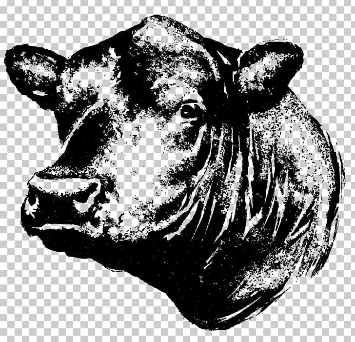 Angus Cattle Kereman Cattle Beef Cattle Calf Steak PNG, Clipart, Animals, Beef, Beef Aging, Black And White, Breed Free PNG Download