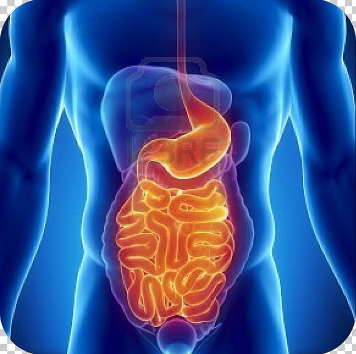 Nutrient Gastrointestinal Tract Digestion Health Gastrointestinal Disease PNG, Clipart, Digestion, Digestive System, Disease, Eating, Electric Blue Free PNG Download