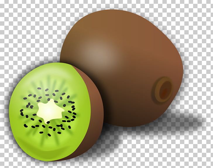Kiwifruit PNG, Clipart, Download, Free Content, Fruit, Green, Kiwi Free PNG Download