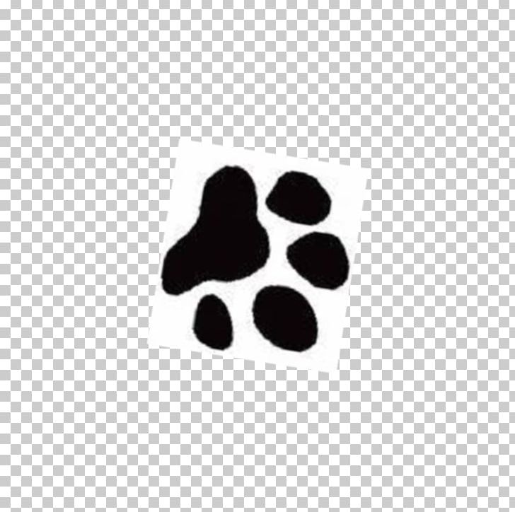 Yorkshire Terrier Cat Cougar Paw PNG, Clipart, Black, Cat, Cougar, Dog, Drawing Free PNG Download