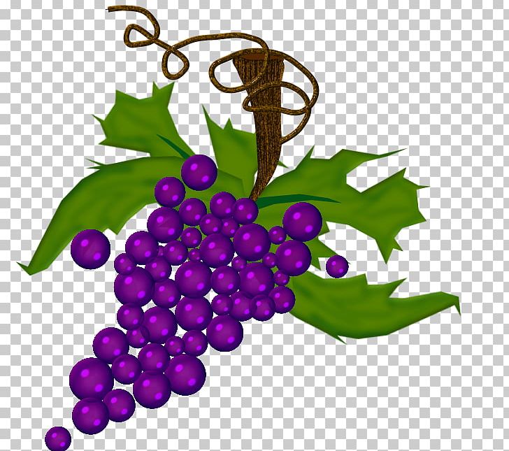 Grape Drawing Auglis PNG, Clipart, Auglis, Beaujolais Nouveau, Blog, Drawing, Flower Free PNG Download