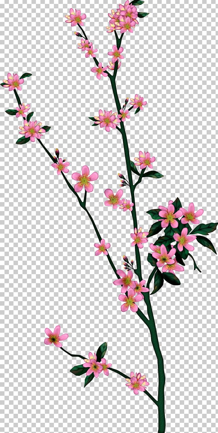 Branch Tree Drawing Leaf Blossom PNG, Clipart, Blossom, Branch, Cherry Blossom, Cut Flowers, Drawing Free PNG Download