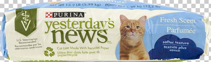 Cat Litter Trays Ferret Bedding News PNG, Clipart, Animals, Bedding, Brand, Cat, Cat Litter Free PNG Download