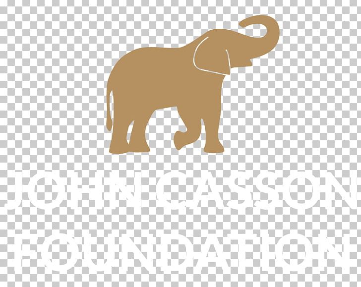 Indian Elephant African Elephant Elephantidae Philleigh Way Cookery School Animal PNG, Clipart, African Elephant, Animal, Canidae, Carnivoran, Dog Like Mammal Free PNG Download