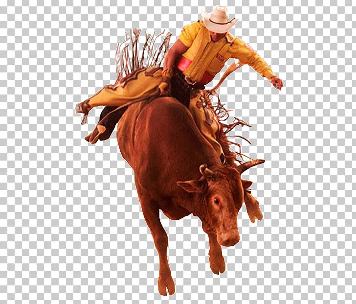 Rodeo Festa Do Peão De Boiadeiro Barretos Paranapuã Piracicaba PNG, Clipart, 2016, Brazil, Bull, Cattle Like Mammal, Cowboy Free PNG Download