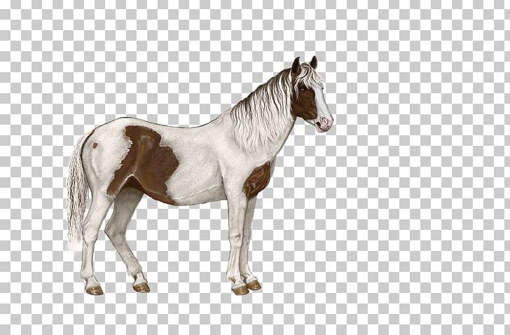 Standing Horse Pixel PNG, Clipart, Animals, Black White, Brown, Encapsulated Postscript, Fundal Free PNG Download