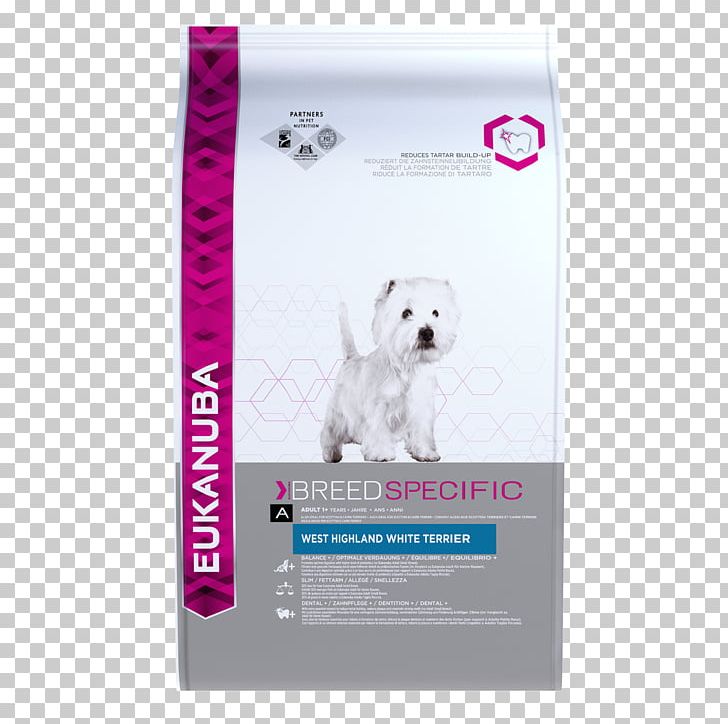 West Highland White Terrier Jack Russell Terrier Puppy Eukanuba Dog Food PNG, Clipart, Animals, Breed, Carnivoran, Dog, Dog Breed Free PNG Download
