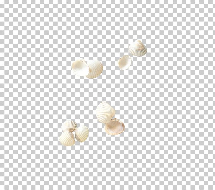 White Flooring Pattern PNG, Clipart, Beige, Cartoon Conch, Circle, Conch, Conchs Free PNG Download