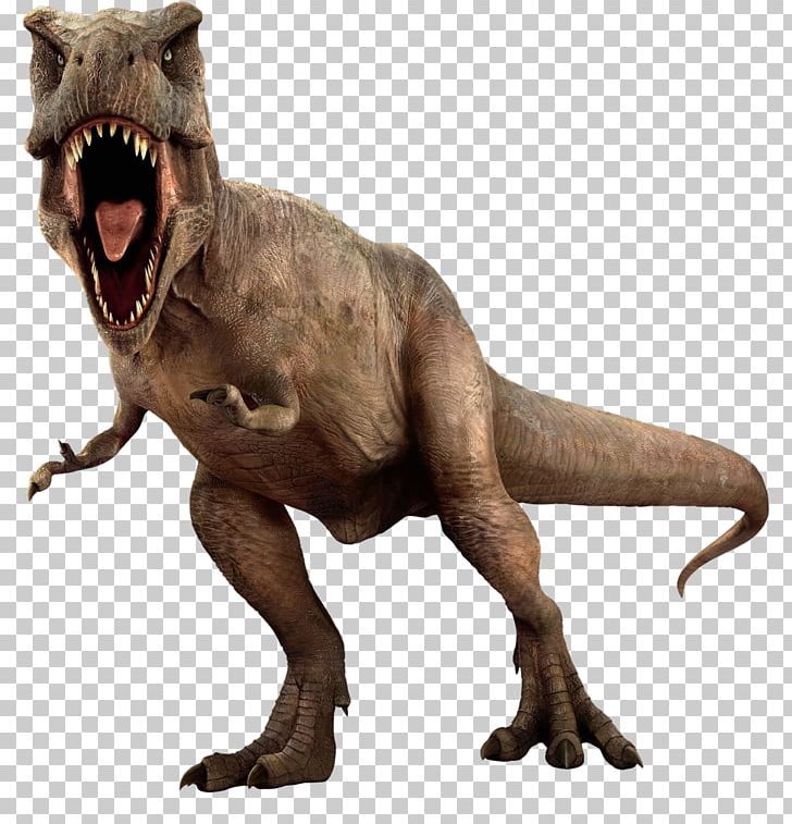 Tyrannosaurus Dinosaur Triceratops PNG, Clipart, Desktop Wallpaper, Dinosaur, Download, Evolution, Extinction Free PNG Download