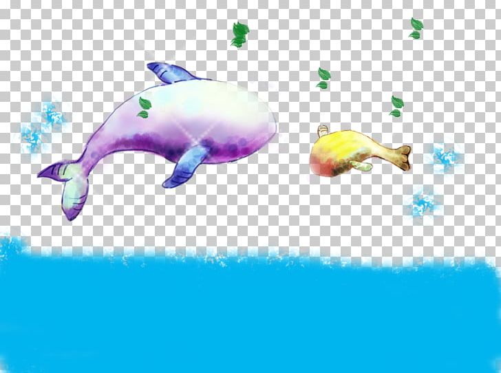 Dolphin Whale PNG, Clipart, Animals, Art, Baby, Baby Clothes, Baby Girl Free PNG Download