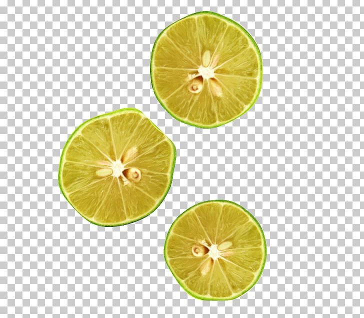 Key Lime Lemon Computer Icons PNG, Clipart, Citric Acid, Citrus, Citrus Junos, Computer Icons, Download Free PNG Download
