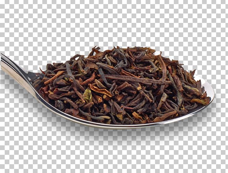 Nilgiri Tea Dianhong Darjeeling Tea Assam Tea PNG, Clipart, Assam Tea, Bancha, Black Tea, Camellia Sinensis, Ceylon Tea Free PNG Download