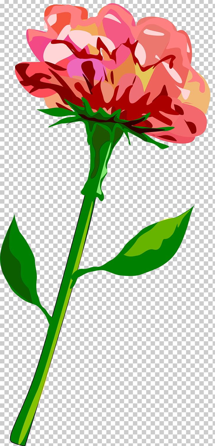 Plant Stem Flower Tulip PNG, Clipart, Annual Plant, Artwork, Carnation, Cut Flowers, Flora Free PNG Download