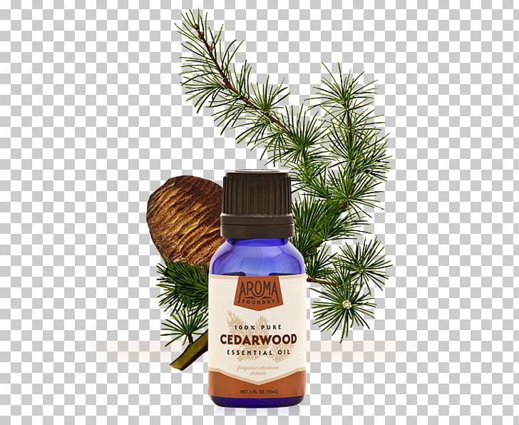 Sore Throat Essential Oil Therapy Muscle Pain PNG, Clipart, Aromatherapy, Conifer, Disease, Essential Oil, Healing Free PNG Download
