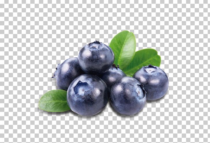 Blueberry Bash Bilberry Fruit Juice PNG, Clipart, Berry, Bilberry, Blackberry, Blueberry, Blueberry Tea Free PNG Download