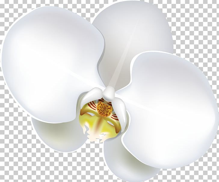 Flower Moth Orchids Lilium PNG, Clipart, Art, Artificial Flower, Clip Art, Cut Flowers, Flower Free PNG Download