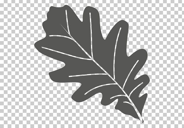 Leaf Oak PNG, Clipart, Black And White, Flowering Plant, Hand, Leaf, Linea Free PNG Download