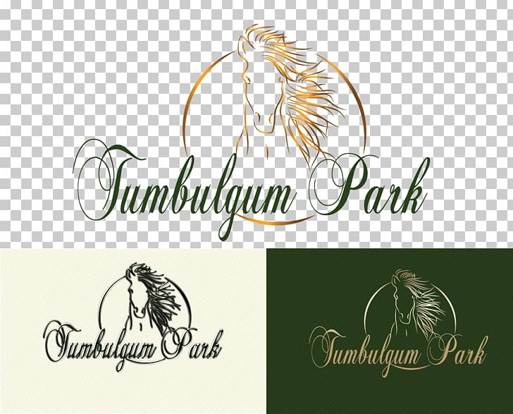 Logo Graphic Design Font PNG, Clipart, Anushka, Art, Artwork, Brand, Calligraphy Free PNG Download