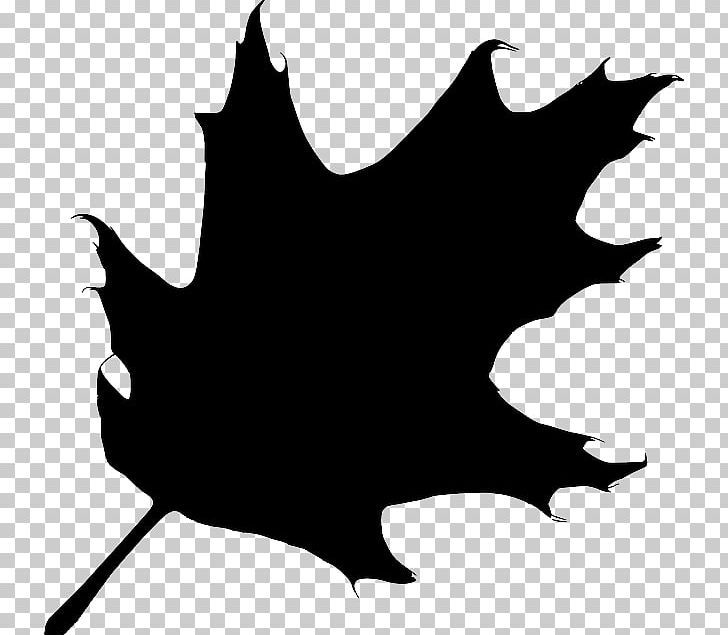 Silhouette Leaf White Oak PNG, Clipart, Acorn, Artwork, Autumn Leaf Color, Black, Black And White Free PNG Download