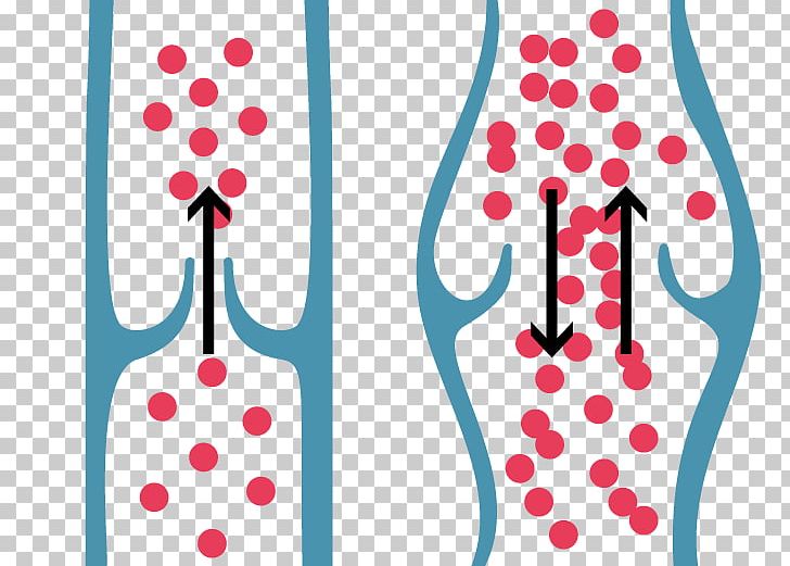 Varicose Veins Blood Leg Floodgate PNG, Clipart, Anatomy, Area, Blood, Blood Vessel, Floodgate Free PNG Download