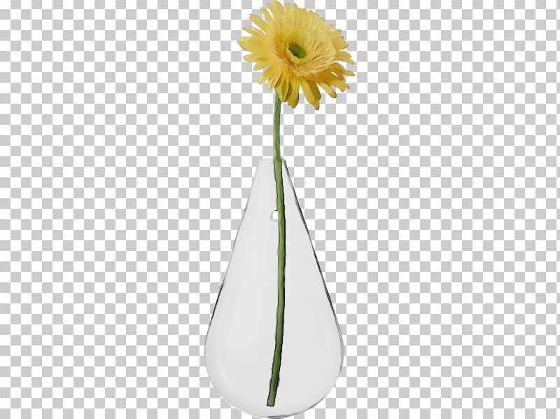 Plant Stem Vase Transvaal Daisy Cut Flowers Flower PNG, Clipart, Biology, Cut Flowers, Flower, Paint, Petal Free PNG Download